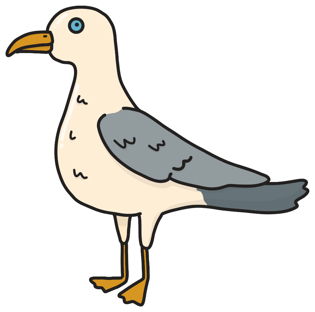 Illustrated Sailor seagull